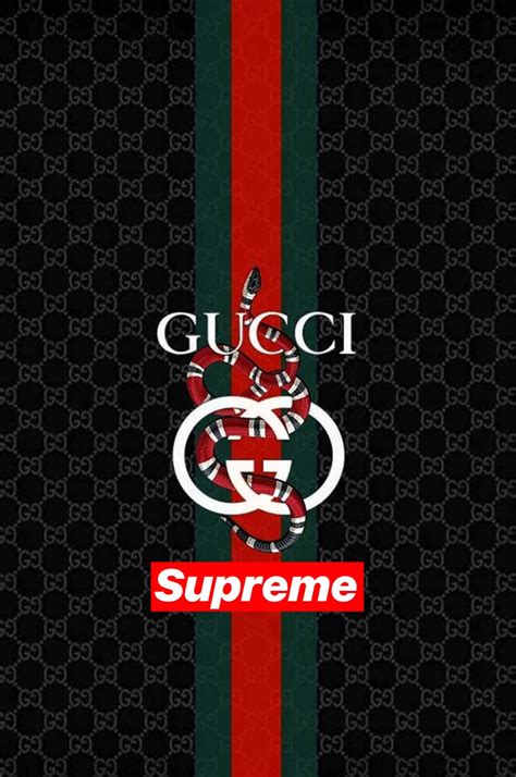 Supreme Gucci Color